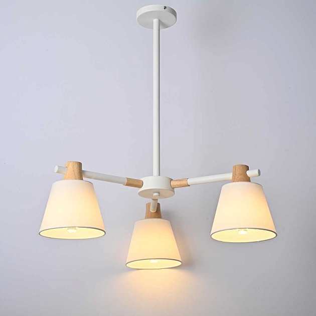 Подвесная люстра Imperium Loft Natura 101826-26 Фото № 3