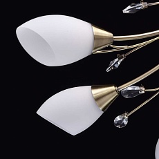 Потолочная люстра MW-Light Нежность 356015308 3