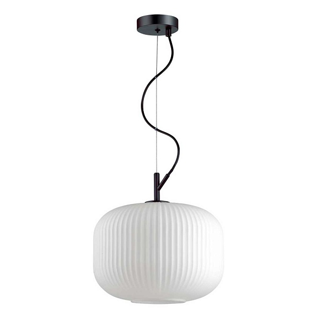 Подвесной светильник Odeon Light Pendant Roofi 4754/1 Фото № 1