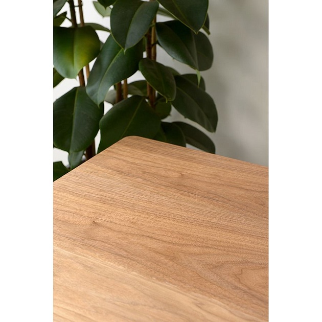 Кухонный стол Bergenson Bjorn Shayne BETA-SHWA изображение 23 Кухонный стол Bergenson Bjorn Shayne BETA-SHWA Фото № 23