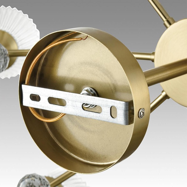 Потолочная люстра Lumion Classi Aurica 8046/8C изображение 4 Потолочная люстра Lumion Classi Aurica 8046/8C Фото № 4