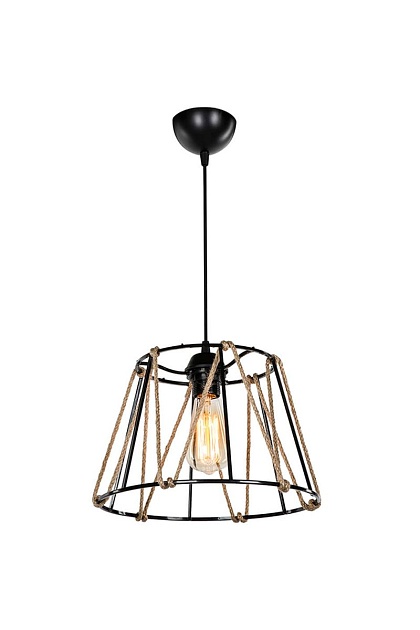 Подвесной светильник Toplight Georgiana TL1607H-01BK Фото № 2