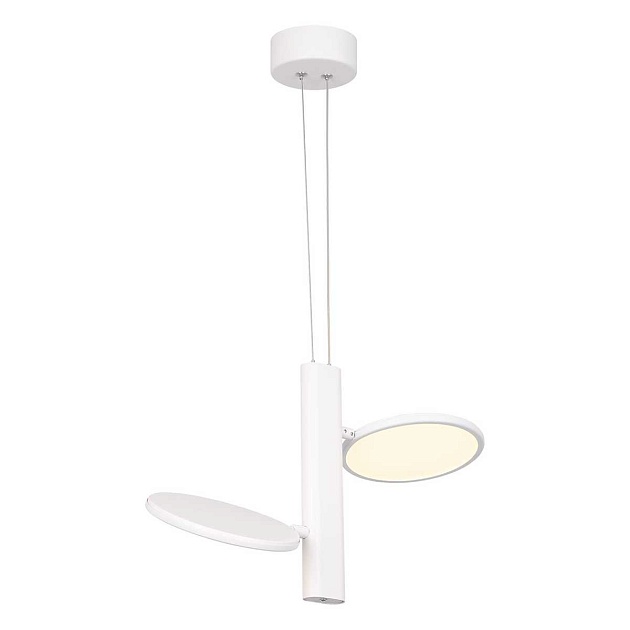 Подвесная светодиодная люстра Lussole Loft Aberdeen LSP-7085 Фото № 1