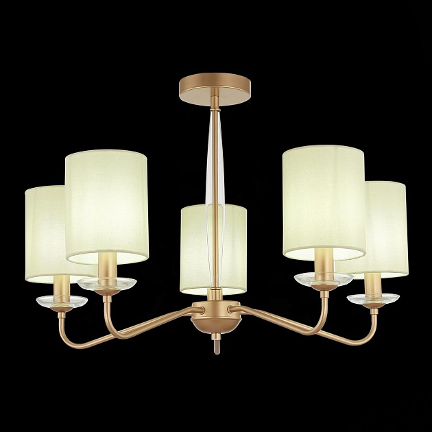 Потолочная люстра Evoluce Rita SLE108002-05 Фото № 2