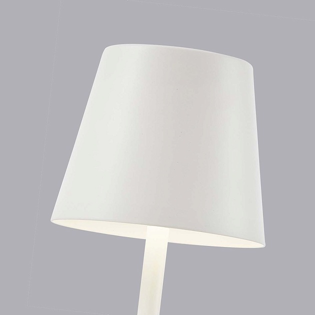 Настольная лампа F-Promo Pyari 4614-1T Фото № 6