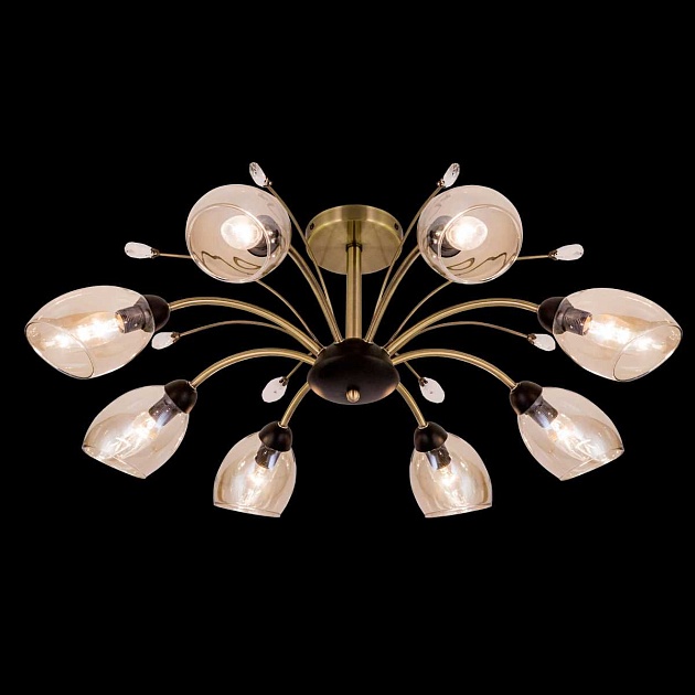 Потолочная люстра Citilux Комета CL108185 изображение 9 Потолочная люстра Citilux Комета CL108185 Фото № 9