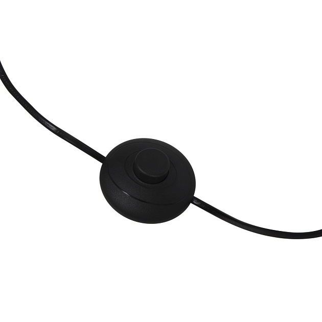 Торшер Maytoni Flow MOD147FL-L20BK1 Фото № 3