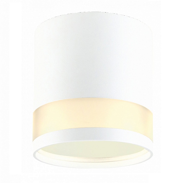 Потолочный светильник EKS ART Glass Gx53 ЦБ-00010276 изображение 1 Потолочный светильник EKS ART Glass Gx53 ЦБ-00010276 Фото № 1