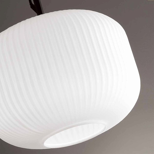 Подвесной светильник Odeon Light Pendant Roofi 4754/1 Фото № 3