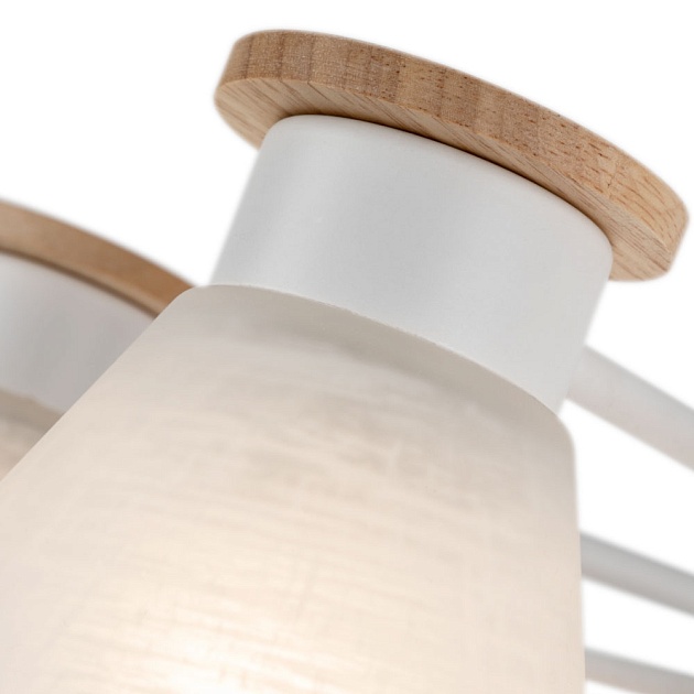 Потолочная люстра Arte Lamp Tyler A1031PL-8WH изображение 3 Потолочная люстра Arte Lamp Tyler A1031PL-8WH Фото № 3