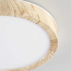 Светильник накладной Citilux Бейсик CL738122N 2