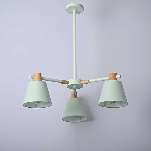 Подвесная люстра Imperium Loft Natura 101824-26 Фото № 6