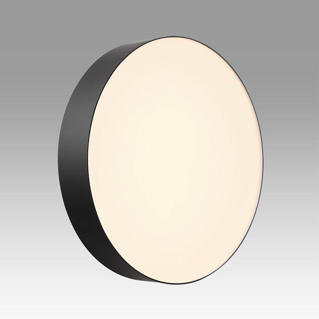 Настенно-потолочный светильник Sonex BASICA 7780/DLN изображение 3 Настенно-потолочный светильник Sonex BASICA 7780/DLN Фото № 3