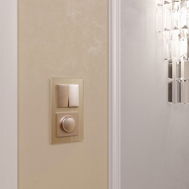 Выключатель двухклавишный Werkel шампань W1120011 4690389157134 изображение 8 Выключатель двухклавишный Werkel шампань W1120011 4690389157134 Фото № 8