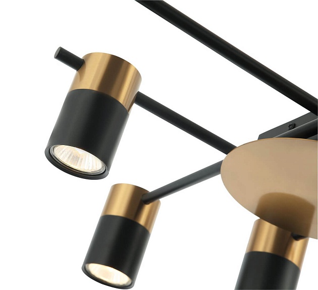 Потолочная люстра Favourite Topper 2825-8P Фото № 3