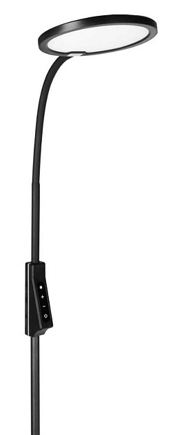 Торшер Camelion KD-836F C02 13407 Фото № 2