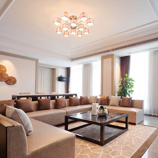 Подвесная люстра Eurosvet 60080/12 сатин-никель изображение 6 Подвесная люстра Eurosvet 60080/12 сатин-никель Фото № 6