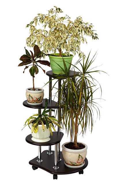 Подставка для цветов Калифорния Троечка венге 5695716606 изображение 3 Подставка для цветов Калифорния Троечка венге 5695716606 Фото № 3