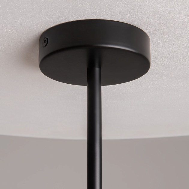 Подвесная люстра Maytoni Organic MOD225PL-06B Фото № 3