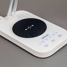 Настольная лампа Citilux Ньютон CL803051 3