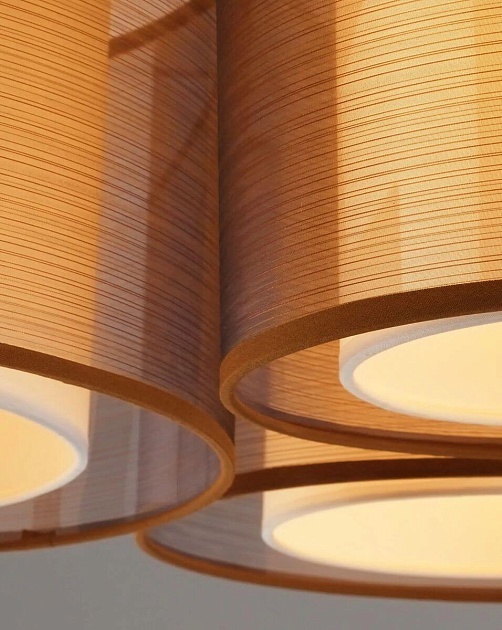 Потолочная люстра Moderli Room V10623-3C Фото № 4