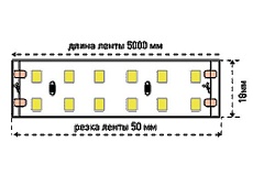 Светодиодная лента SWG 19,2W/m 240Led/m 3528SMD холодный белый 5M SWG3240-24-19.2-W-М 009249 2