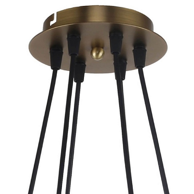 Подвесная люстра Favourite Vision 2763-6P Фото № 3