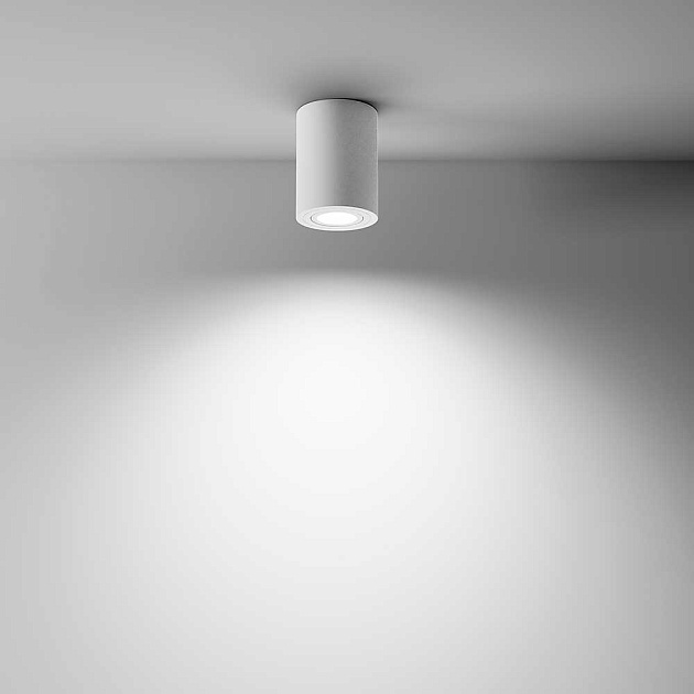 Потолочный светильник Maytoni Alfa C016CL-01W Фото № 4
