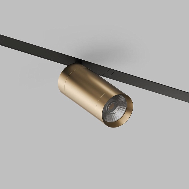 Трековый светодиодный светильник Denkirs Smart Spot DK8020-BG Фото № 5