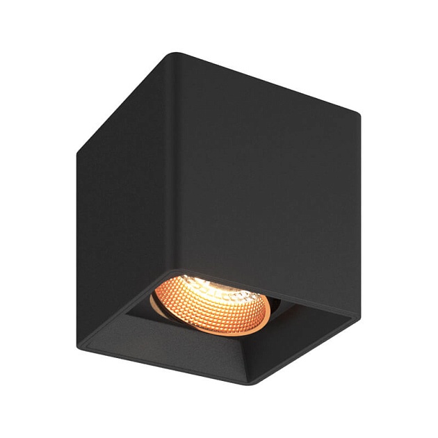 Накладной светильник Denkirs DK3080-BBR Фото № 3