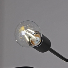 Потолочная люстра Illumico IL2000-6C-05 BK 2