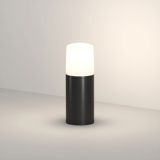 Ландшафтный светильник Denkirs Nord DK9743-BK Фото № 1