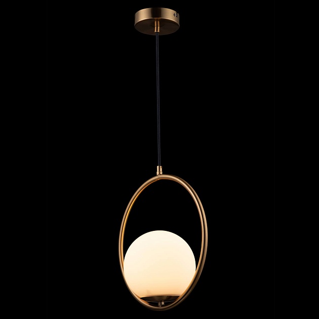 Подвесной светильник Loft IT Glob LOFT2600-A Фото № 5