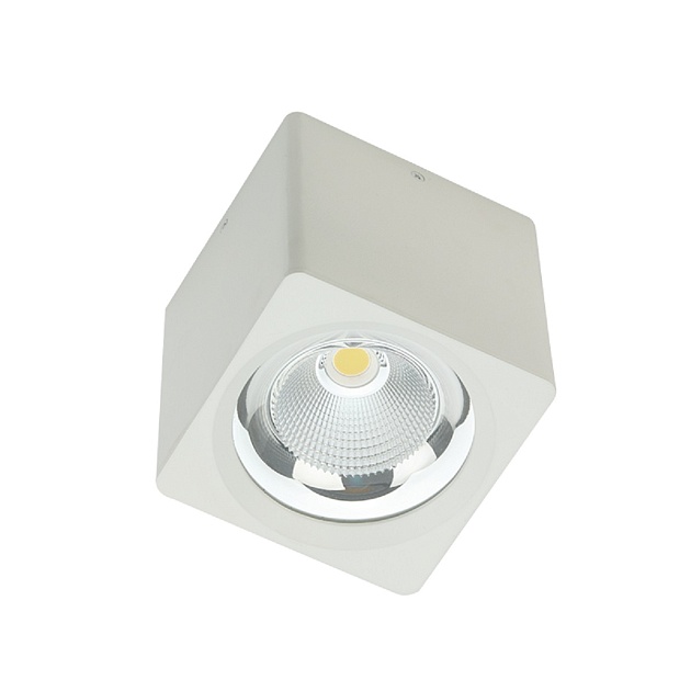 Потолочный светодиодный светильник Fiberli CH-SD220-1 12120103 изображение 1 Потолочный светодиодный светильник Fiberli CH-SD220-1 12120103 Фото № 1