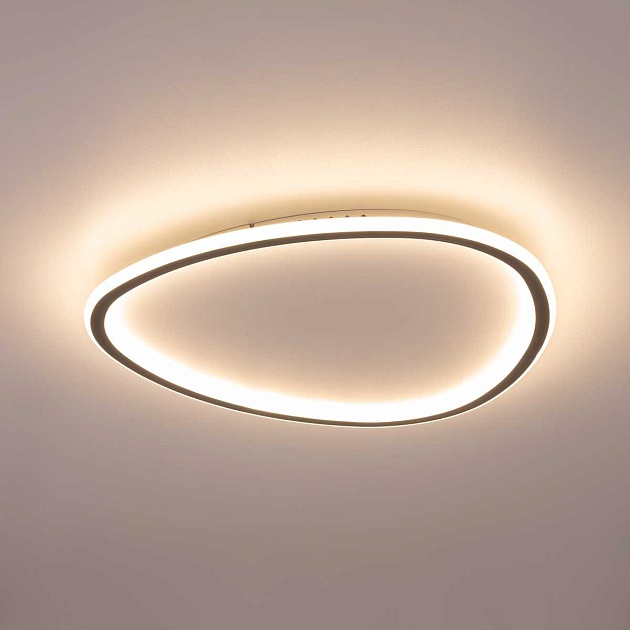 Потолочный светодиодный светильник Citilux Trio CL215B251E Фото № 11