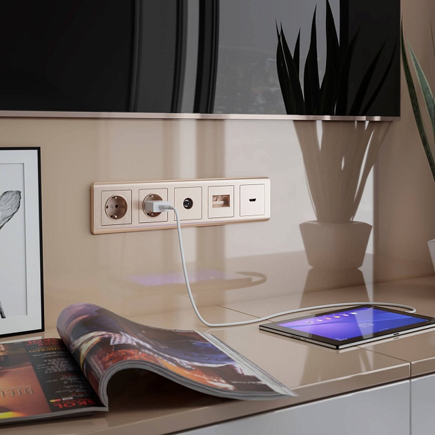 ТВ-розетка оконечная Werkel шампань рифленый W1183010 4690389160639 изображение 3 ТВ-розетка оконечная Werkel шампань рифленый W1183010 4690389160639 Фото № 3