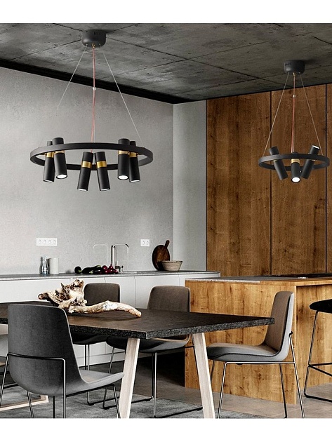 Подвесная люстра Zortes Tweeny ZRS.1828.60 Фото № 2