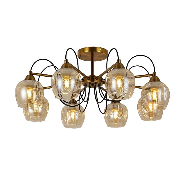 Потолочная люстра Evoluce Acro SLE110002-08 изображение 1 Потолочная люстра Evoluce Acro SLE110002-08 Фото № 1