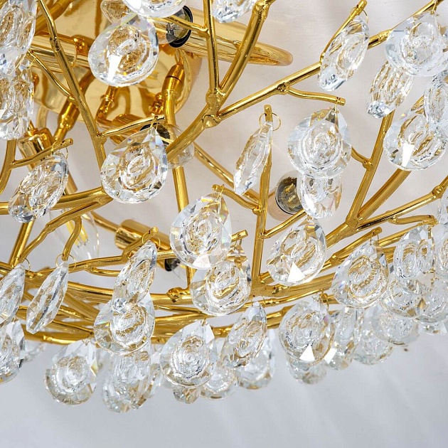 Потолочная люстра Favourite Pluvia 4162-10C Фото № 4