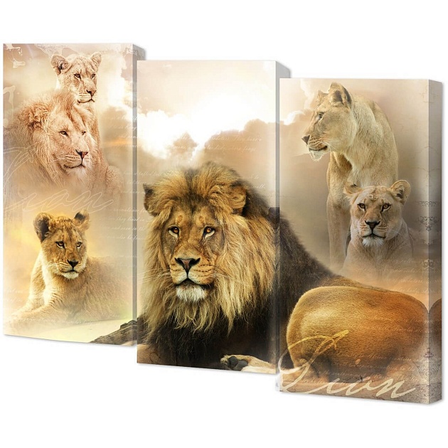 Модульная картина Toplight 100х150х3см TL-M3079 Фото № 1