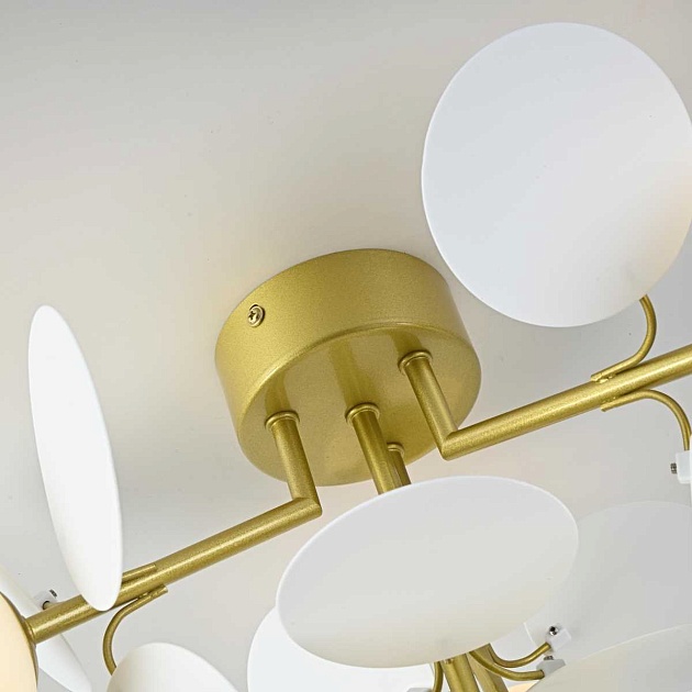 Потолочная люстра Imperium Loft Matisse 167195-26 изображение 10 Потолочная люстра Imperium Loft Matisse 167195-26 Фото № 10