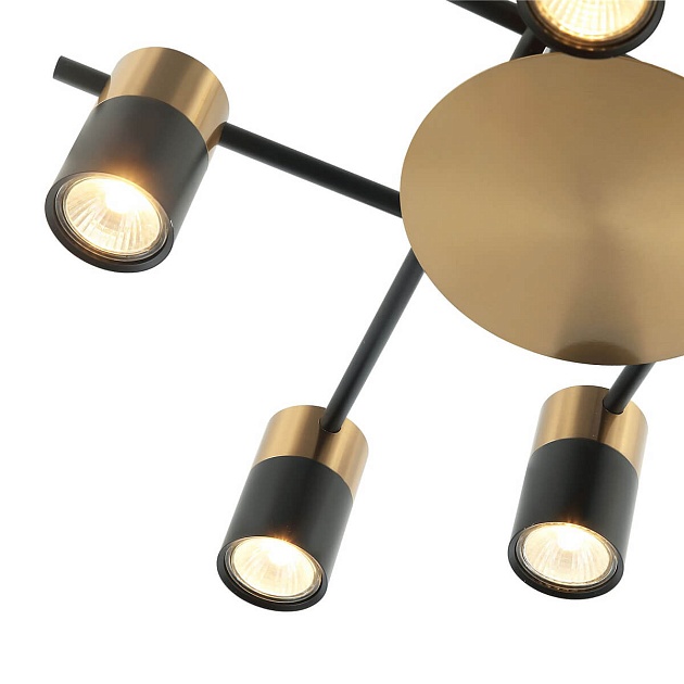 Потолочная люстра Favourite Topper 2825-8P Фото № 4