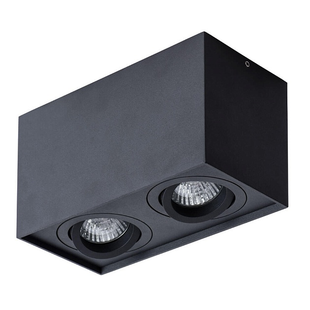 Потолочный светильник Arte Lamp Factor A5544PL-2BK изображение 1 Потолочный светильник Arte Lamp Factor A5544PL-2BK Фото № 1