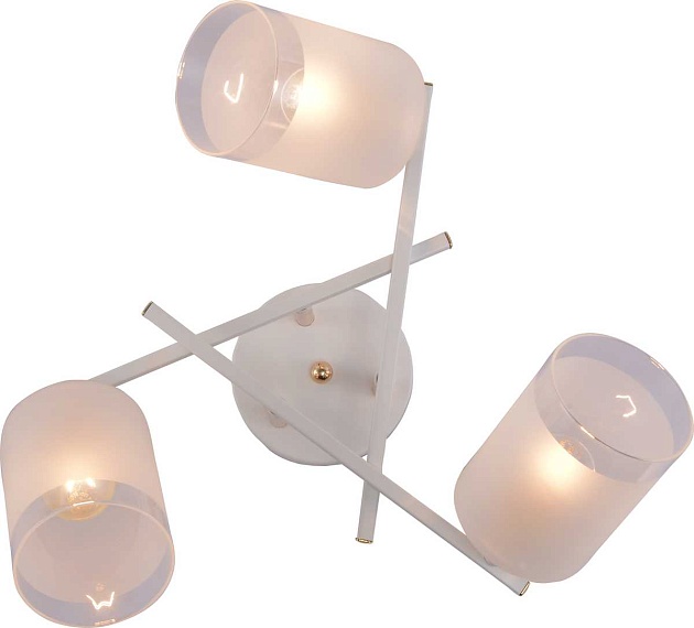 Потолочная люстра Rivoli Tammy 3162-303 Б0059258 изображение 5 Потолочная люстра Rivoli Tammy 3162-303 Б0059258 Фото № 5