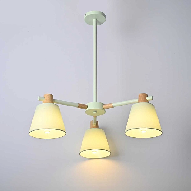 Подвесная люстра Imperium Loft Natura 101824-26 Фото № 4