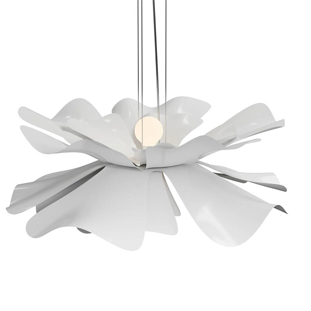 Подвесная люстра Lightera Chad LE116L-55W Фото № 11
