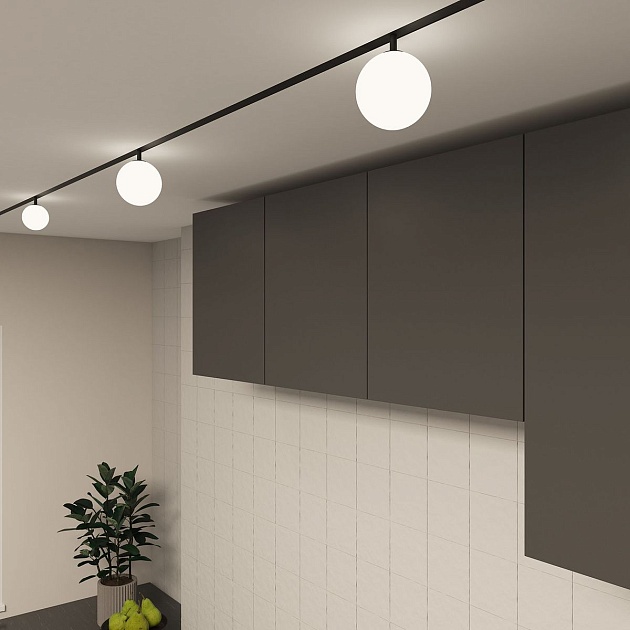 Трековый светодиодный светильник Denkirs Smart Moon DK8051-BK Фото № 5