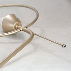 Потолочная люстра Lussole Lgo Montana LSP-8369 4