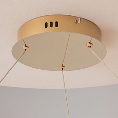 Подвесная светодиодная люстра Maytoni Tessara MOD081PL-L50G3K 2