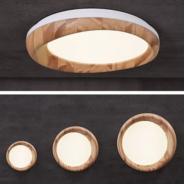 Потолочный светодиодный светильник Imperium Loft Runis 219477-26 Фото № 2